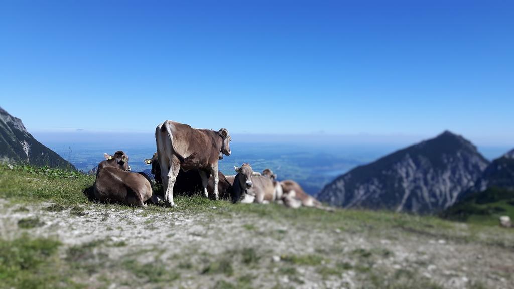 Hotel Pfeiffermuehle Wertach Buitenkant foto